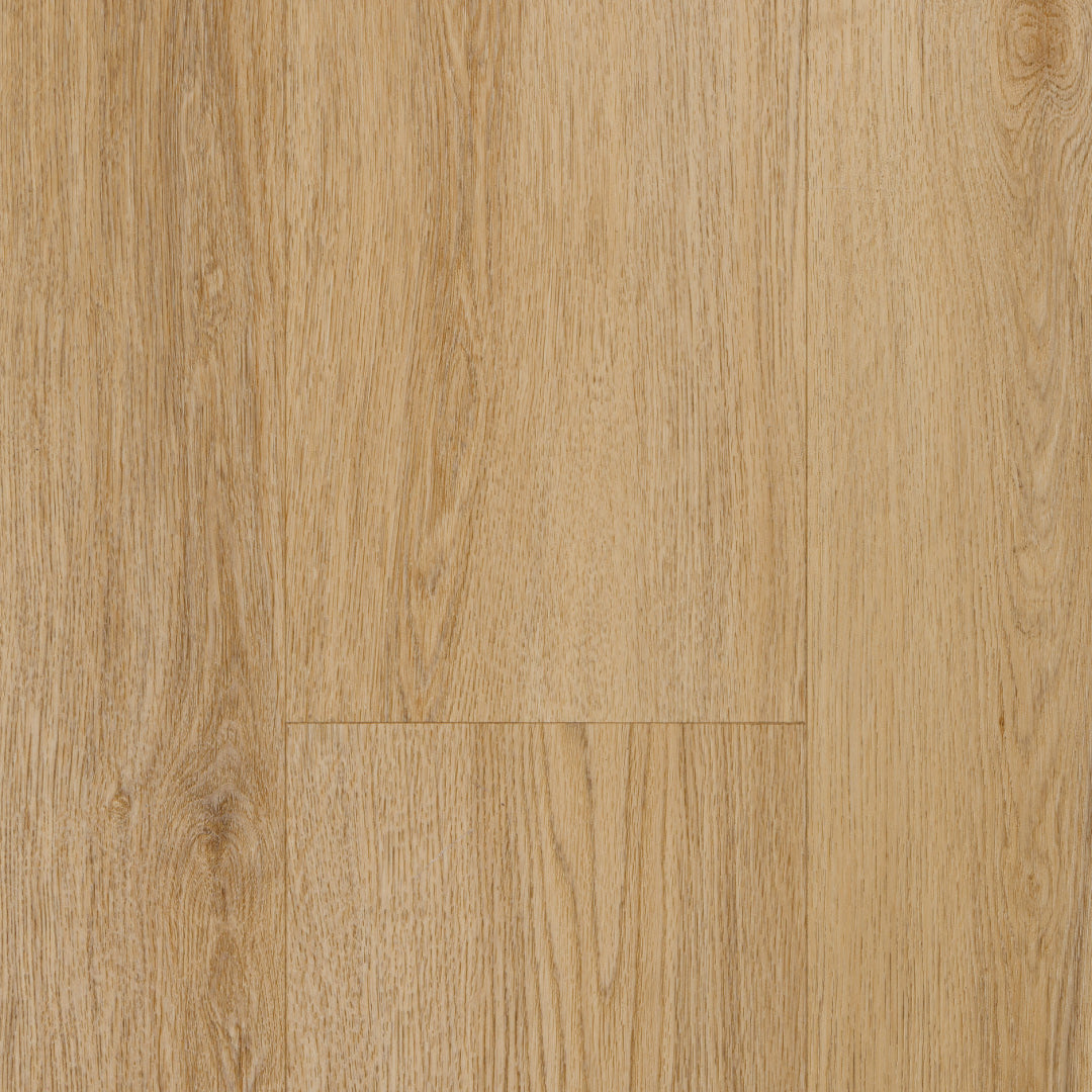 Blonde Oak 6.5h Series