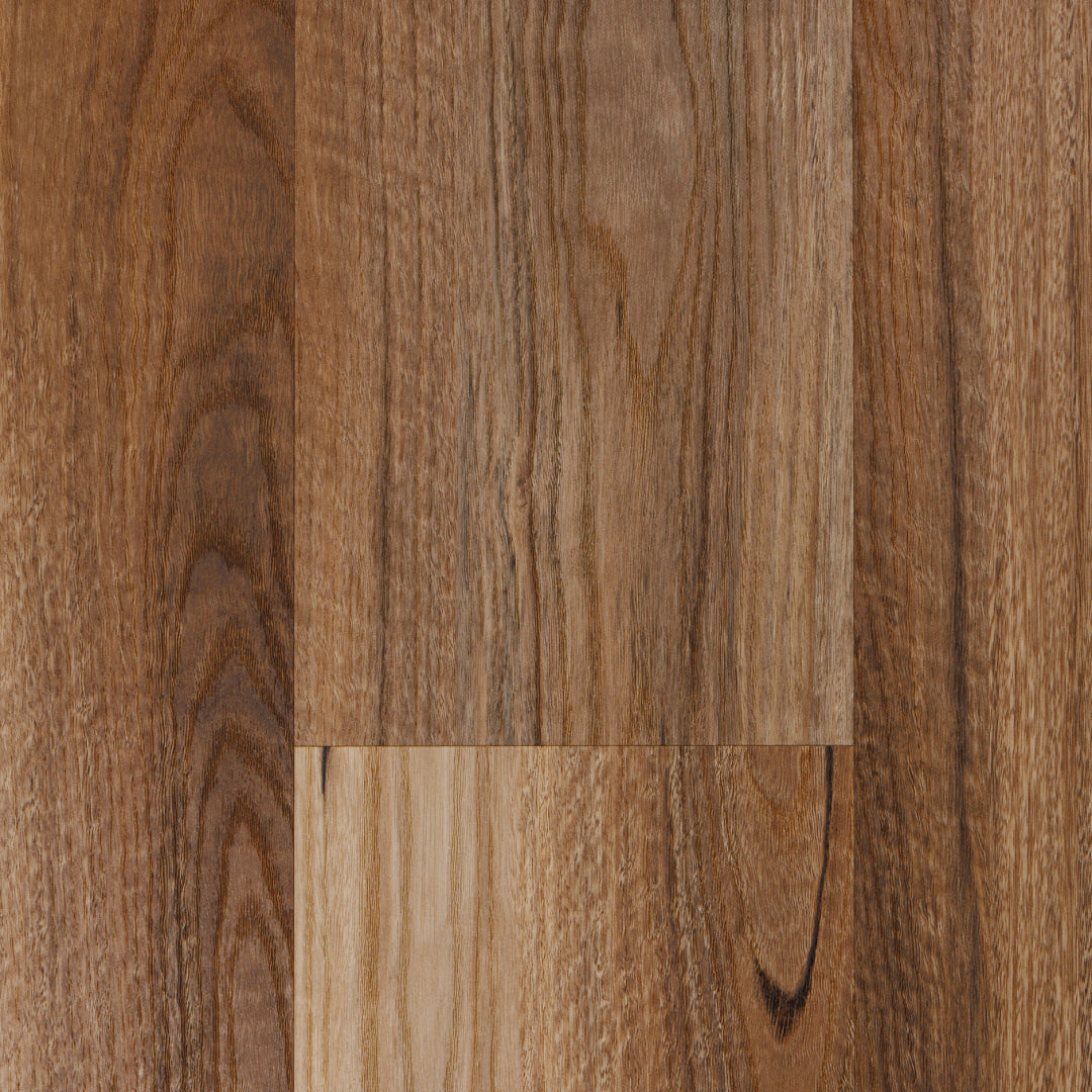 Coastal Blackbutt 6.5h Series