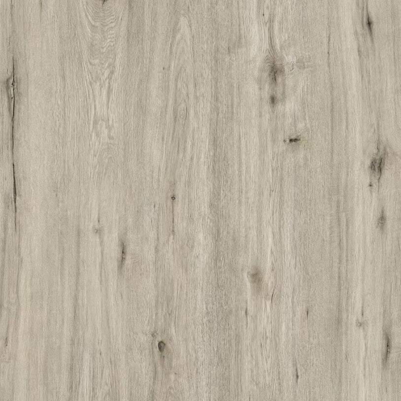 Chestnut 6.5h Series